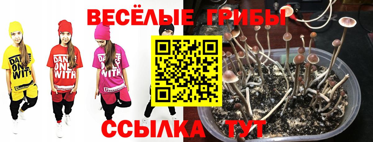 Псилоцибиновые грибы ЛСД Рыбинск
